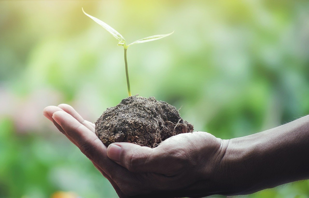8 Energie Sparen im Sommer Ideen die du nicht verpassen darfst