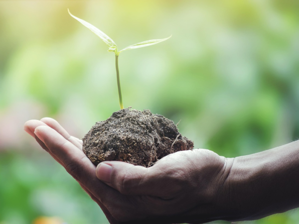 8 Energie Sparen im Sommer Ideen die du nicht verpassen darfst