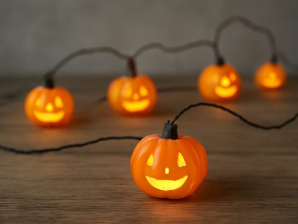 Halloween Kürbis mit LED Licht: der ehrliche Vergleich